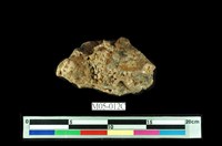 藏品(重晶石)的圖片